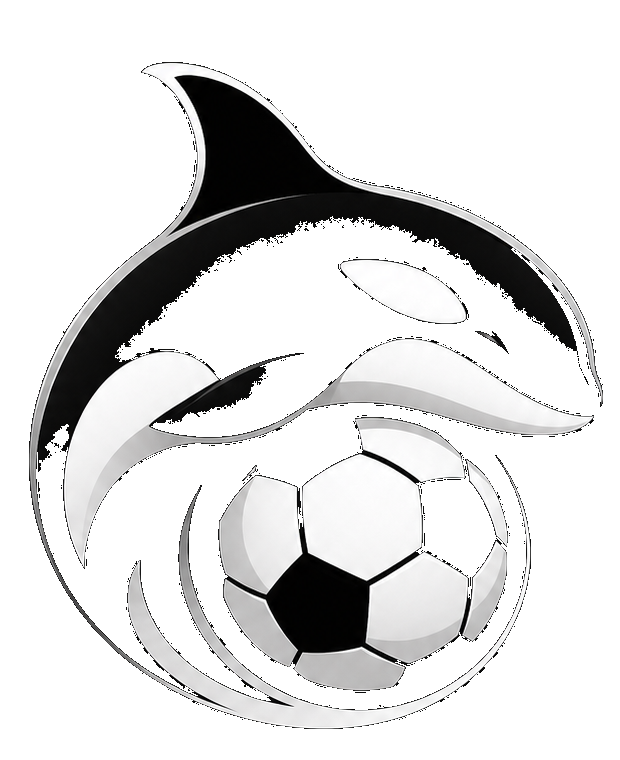 Orca Football logo